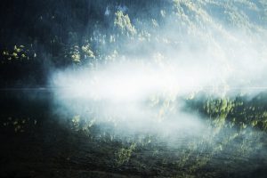 most beautiful lake in Switzerland, forest, green colors, dusty morning light,